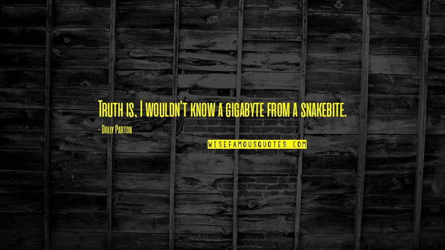 Wouldn't't Quotes By Dolly Parton: Truth is, I wouldn't know a gigabyte from