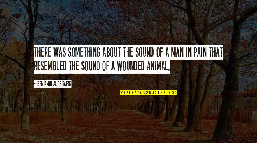 Wounded Animal Quotes By Benjamin Alire Saenz: There was something about the sound of a