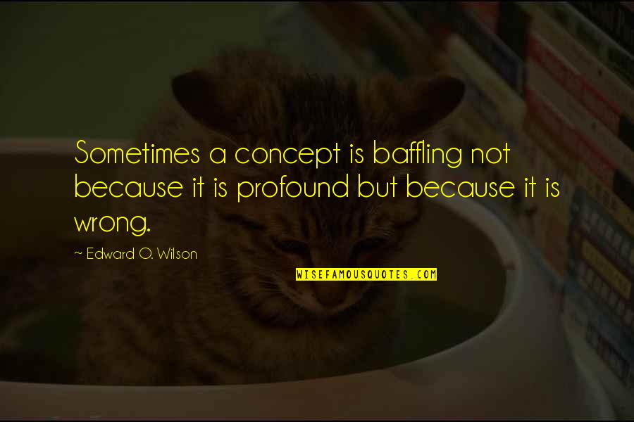 Wounded Relationship Quotes By Edward O. Wilson: Sometimes a concept is baffling not because it