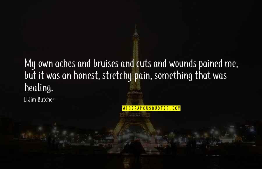 Wounds And Healing Quotes By Jim Butcher: My own aches and bruises and cuts and Wounds And Healing Quotes By Jim Butcher: My own aches and bruises and cuts and