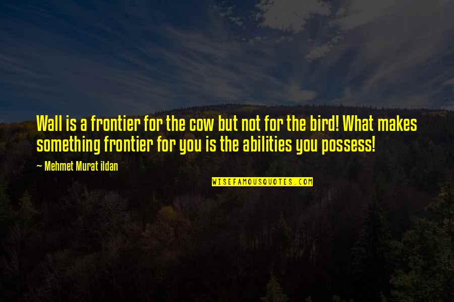 Wouwse Quotes By Mehmet Murat Ildan: Wall is a frontier for the cow but Wouwse Quotes By Mehmet Murat Ildan: Wall is a frontier for the cow but