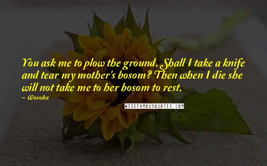 Wovoka quotes: You ask me to plow the ground. Shall I take a knife and tear my mother's bosom? Then when I die she will not take me to her bosom to