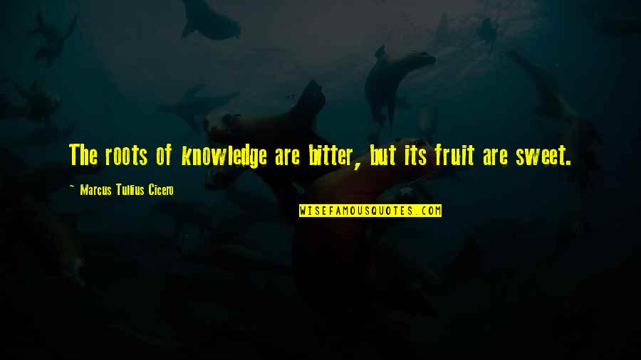 Wpm Quote Quotes By Marcus Tullius Cicero: The roots of knowledge are bitter, but its Wpm Quote Quotes By Marcus Tullius Cicero: The roots of knowledge are bitter, but its