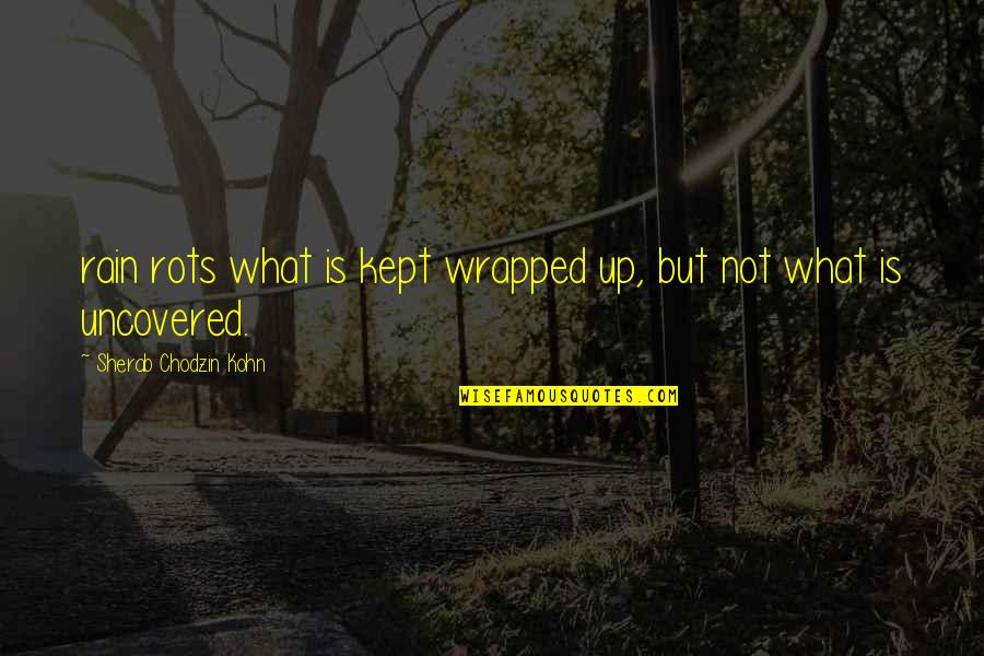 Wrapped Quotes By Sherab Chodzin Kohn: rain rots what is kept wrapped up, but