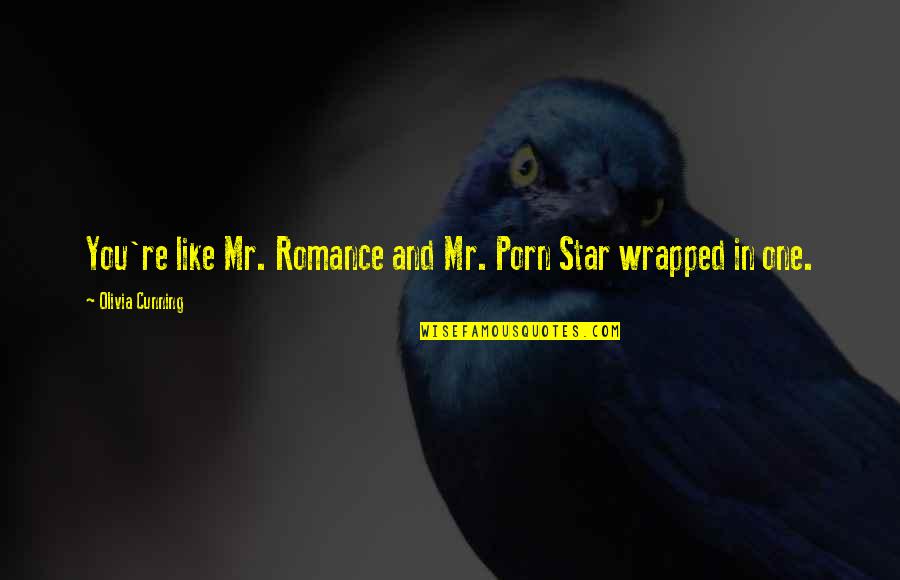 Wrapped Up In You Quotes By Olivia Cunning: You're like Mr. Romance and Mr. Porn Star