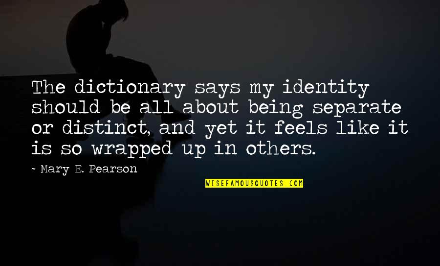Wrapped Up Quotes By Mary E. Pearson: The dictionary says my identity should be all