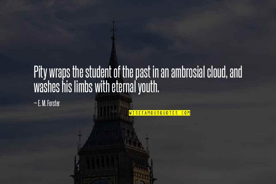 Wraps Quotes By E. M. Forster: Pity wraps the student of the past in Wraps Quotes By E. M. Forster: Pity wraps the student of the past in