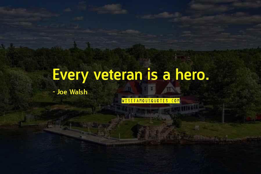 Wreaks Quotes By Joe Walsh: Every veteran is a hero.