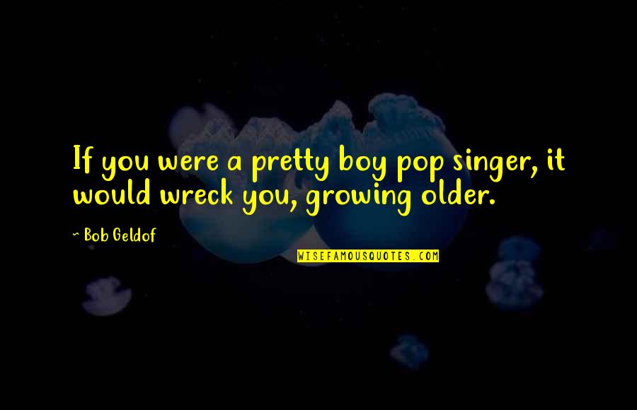 Wreck Quotes By Bob Geldof: If you were a pretty boy pop singer,