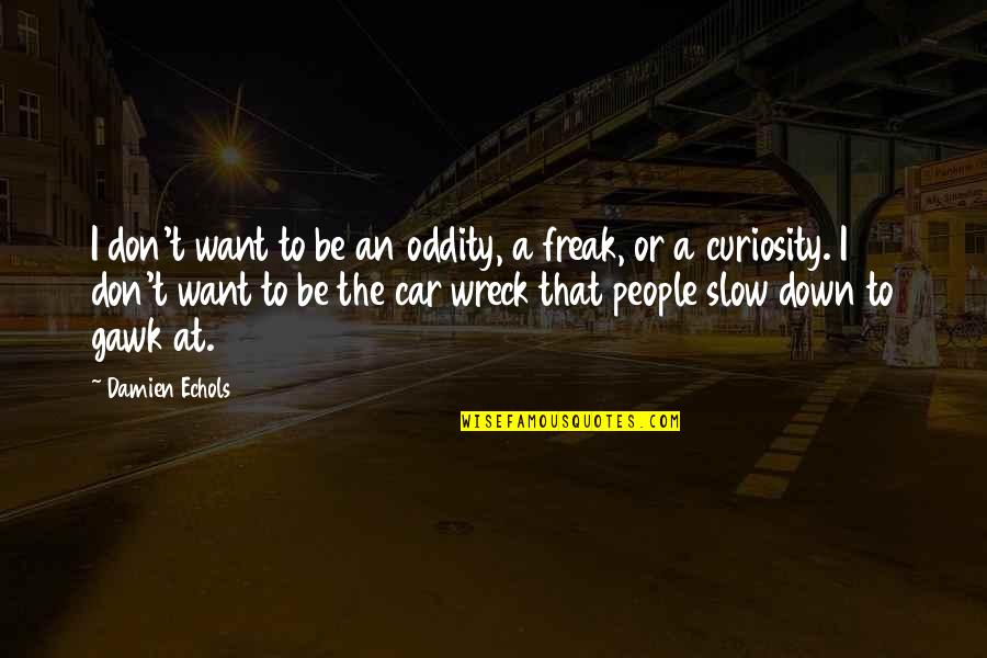 Wreck Quotes By Damien Echols: I don't want to be an oddity, a Wreck Quotes By Damien Echols: I don't want to be an oddity, a
