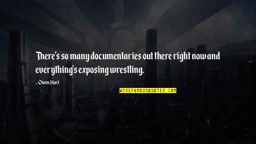 Wrestling's Quotes By Owen Hart: There's so many documentaries out there right now