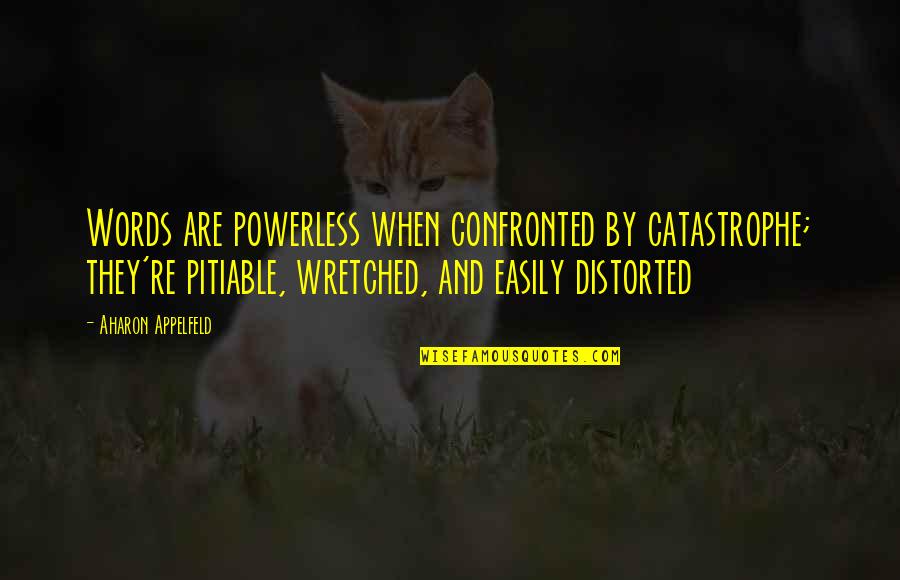 Wretched Quotes By Aharon Appelfeld: Words are powerless when confronted by catastrophe; they're