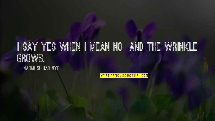 Wrinkle Quotes By Naomi Shihab Nye: I say yes when I mean no and