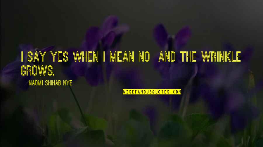 Wrinkles Quotes By Naomi Shihab Nye: I say yes when I mean no and