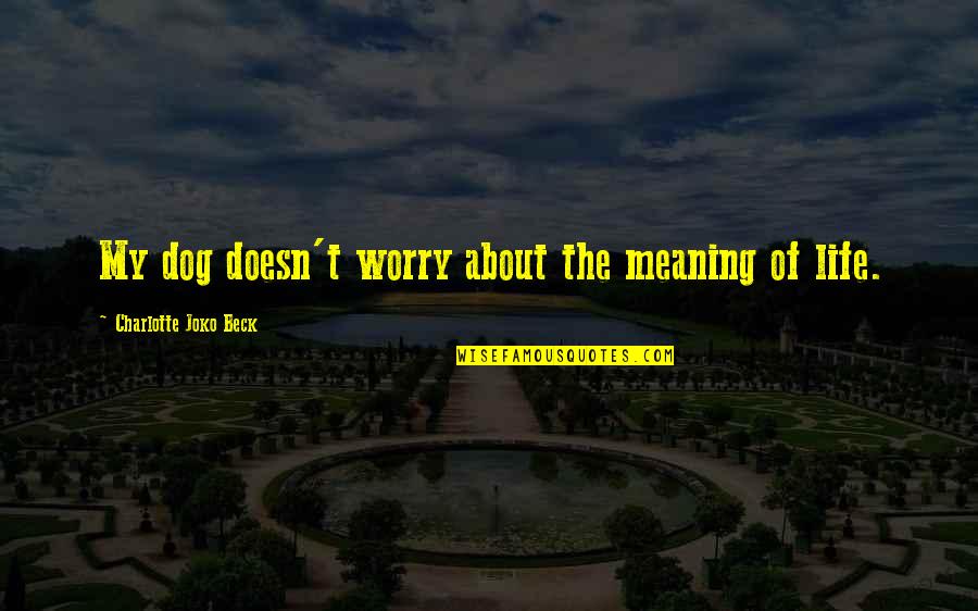 Wrinkley Quotes By Charlotte Joko Beck: My dog doesn't worry about the meaning of Wrinkley Quotes By Charlotte Joko Beck: My dog doesn't worry about the meaning of