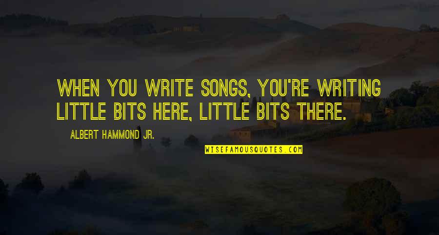 Write Here Write Now Quotes By Albert Hammond Jr.: When you write songs, you're writing little bits