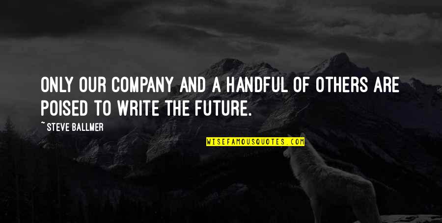 Write The Future Quotes By Steve Ballmer: Only our company and a handful of others