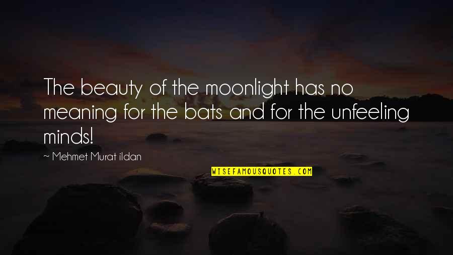 Writers Diary Quotes By Mehmet Murat Ildan: The beauty of the moonlight has no meaning Writers Diary Quotes By Mehmet Murat Ildan: The beauty of the moonlight has no meaning