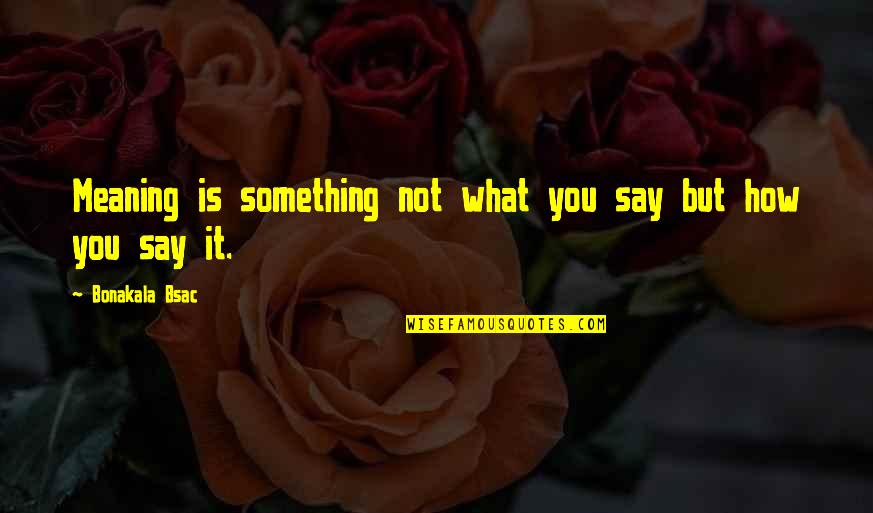 Writing As An Art Form Quotes By Bonakala Bsac: Meaning is something not what you say but