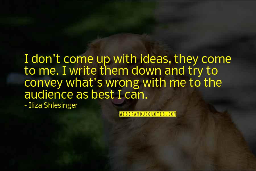 Writing Down Ideas Quotes By Iliza Shlesinger: I don't come up with ideas, they come Writing Down Ideas Quotes By Iliza Shlesinger: I don't come up with ideas, they come