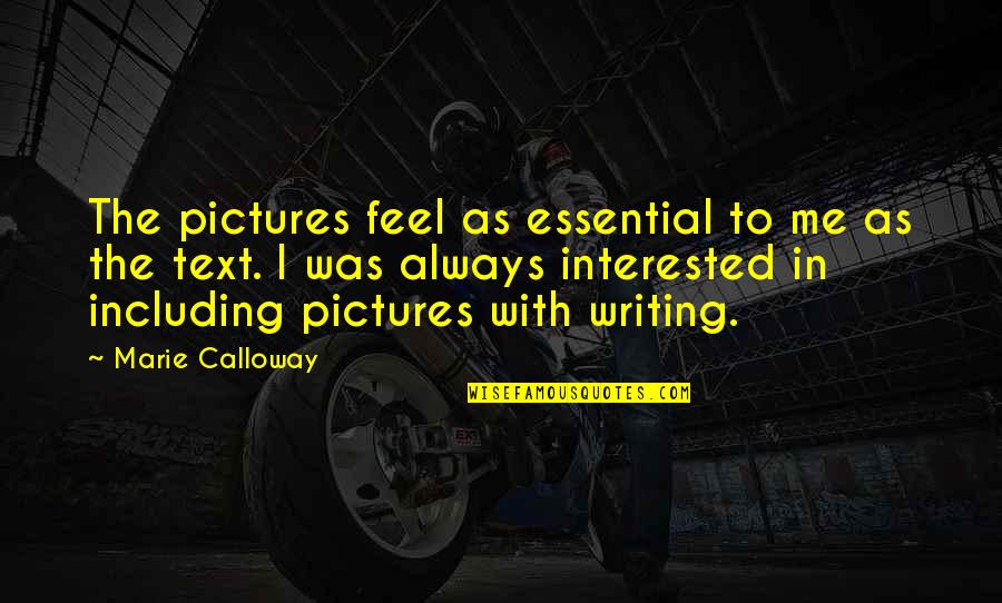Writing Essentials Quotes By Marie Calloway: The pictures feel as essential to me as