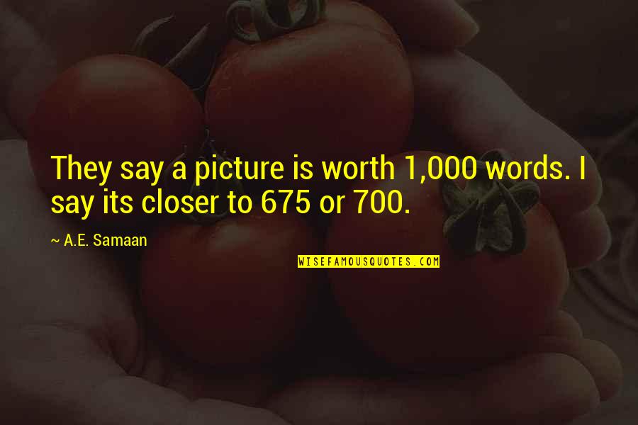 Writing Feelings Quotes By A.E. Samaan: They say a picture is worth 1,000 words.