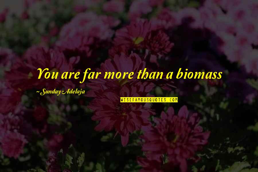 Written Communication Quotes By Sunday Adelaja: You are far more than a biomass