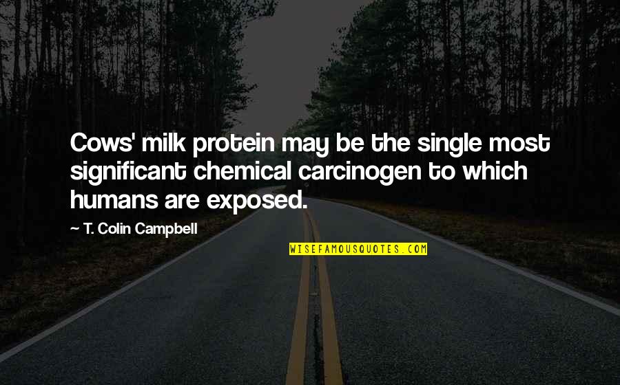 Wroclaw Weather Quotes By T. Colin Campbell: Cows' milk protein may be the single most Wroclaw Weather Quotes By T. Colin Campbell: Cows' milk protein may be the single most