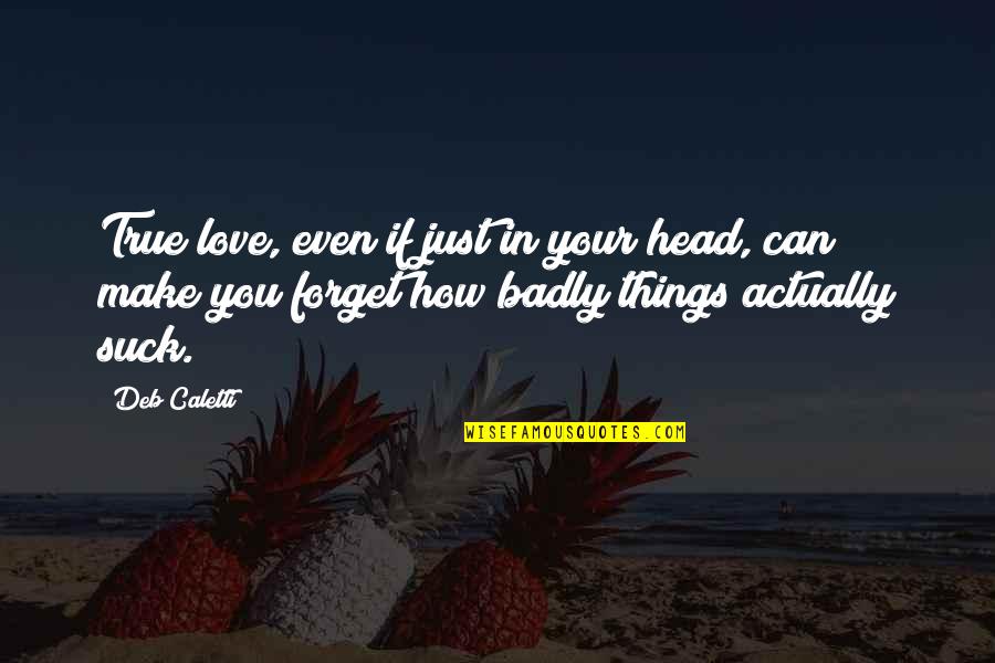 Wrong But Funniest Quotes By Deb Caletti: True love, even if just in your head,