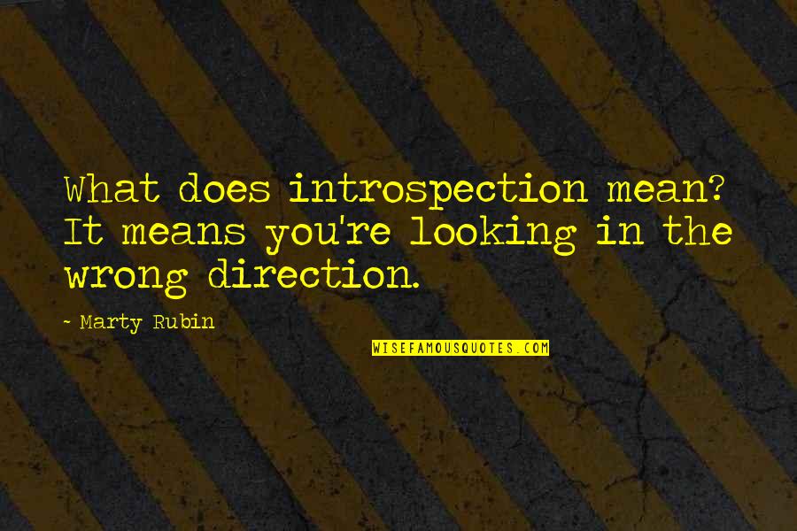 Wrong Direction Quotes By Marty Rubin: What does introspection mean? It means you're looking