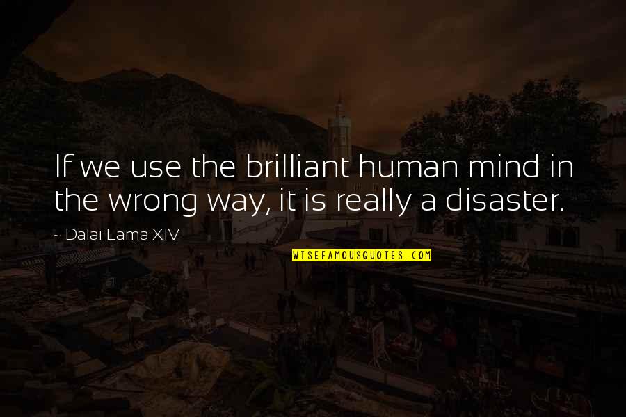 Wrong Way Quotes By Dalai Lama XIV: If we use the brilliant human mind in