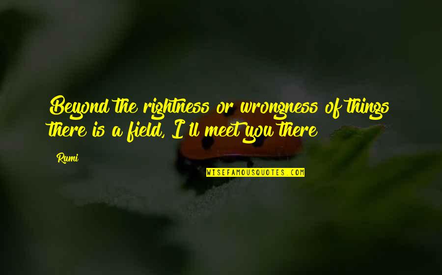 Wrongness Quotes By Rumi: Beyond the rightness or wrongness of things there