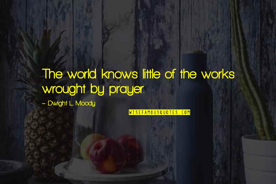 Wrought Quotes By Dwight L. Moody: The world knows little of the works wrought