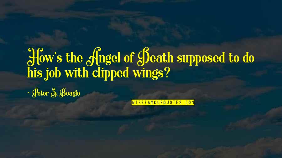 Wsch Obituaries Quotes By Peter S. Beagle: How's the Angel of Death supposed to do Wsch Obituaries Quotes By Peter S. Beagle: How's the Angel of Death supposed to do