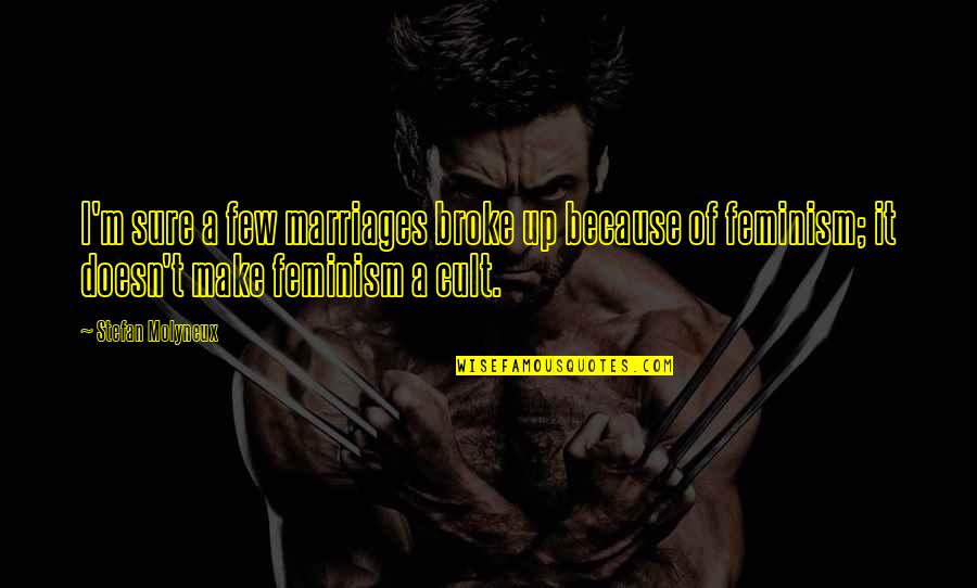 Wt Is Love Quotes By Stefan Molyneux: I'm sure a few marriages broke up because