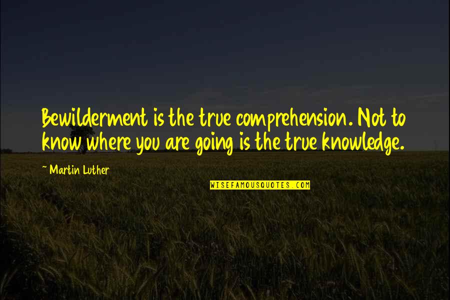 Wudu Quotes By Martin Luther: Bewilderment is the true comprehension. Not to know Wudu Quotes By Martin Luther: Bewilderment is the true comprehension. Not to know