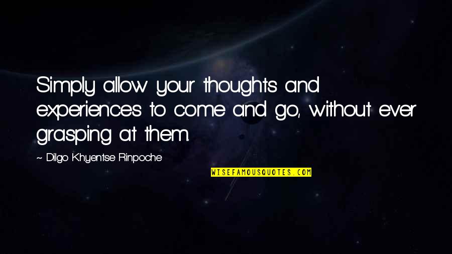 Wulzurg Quotes By Dilgo Khyentse Rinpoche: Simply allow your thoughts and experiences to come