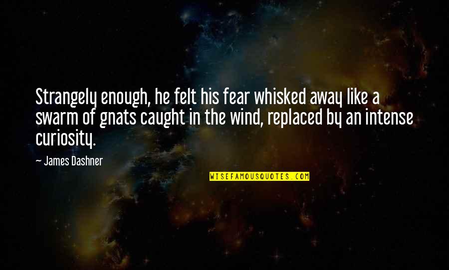 Wunnerfitz Quotes By James Dashner: Strangely enough, he felt his fear whisked away