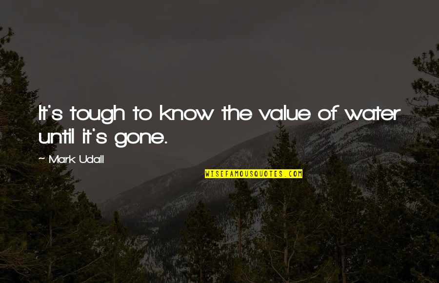 Wunnerful Inn Quotes By Mark Udall: It's tough to know the value of water