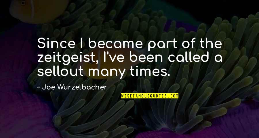 Wurzelbacher Quotes By Joe Wurzelbacher: Since I became part of the zeitgeist, I've