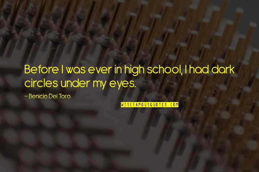 Wuthering Heights Major Quotes By Benicio Del Toro: Before I was ever in high school, I Wuthering Heights Major Quotes By Benicio Del Toro: Before I was ever in high school, I