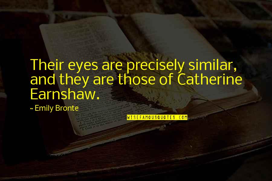 Wuthering Quotes By Emily Bronte: Their eyes are precisely similar, and they are