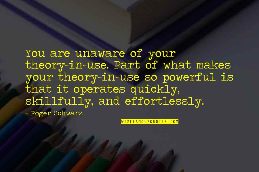 Ww11 Quotes By Roger Schwarz: You are unaware of your theory-in-use. Part of Ww11 Quotes By Roger Schwarz: You are unaware of your theory-in-use. Part of