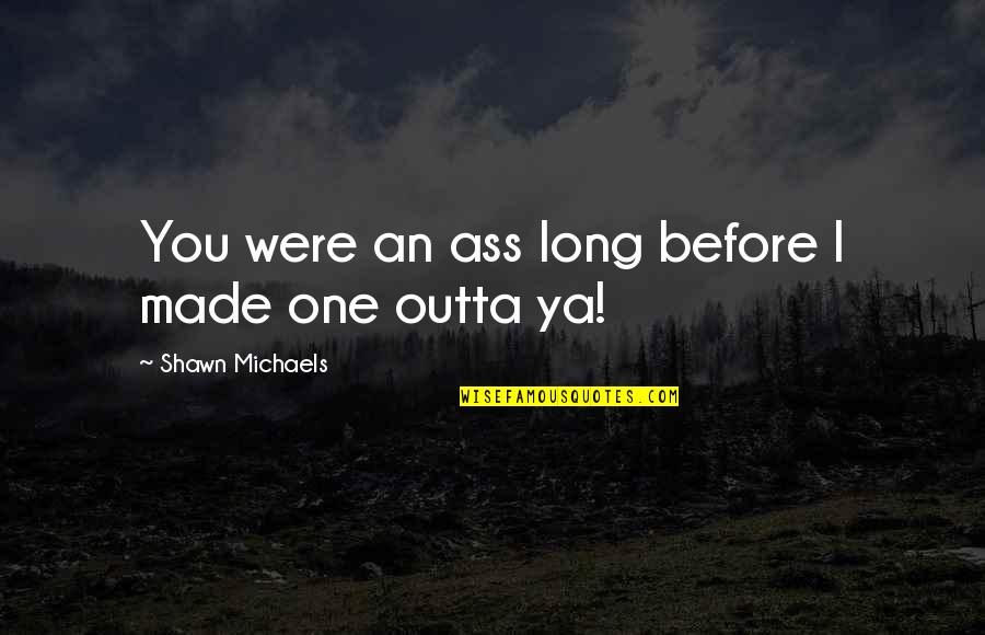 Wwe Shawn Michaels Quotes By Shawn Michaels: You were an ass long before I made