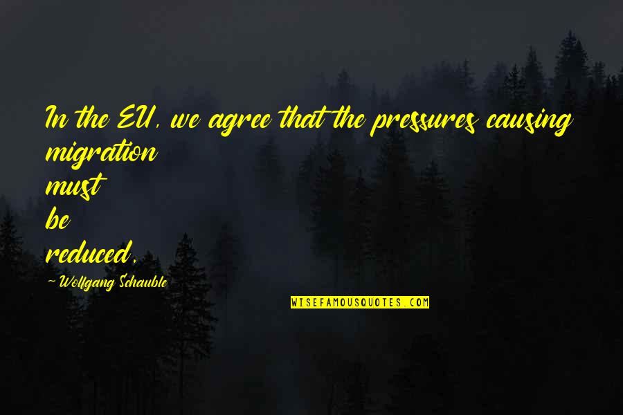 Wwi Gassing Of Our Soldiers Quotes By Wolfgang Schauble: In the EU, we agree that the pressures Wwi Gassing Of Our Soldiers Quotes By Wolfgang Schauble: In the EU, we agree that the pressures