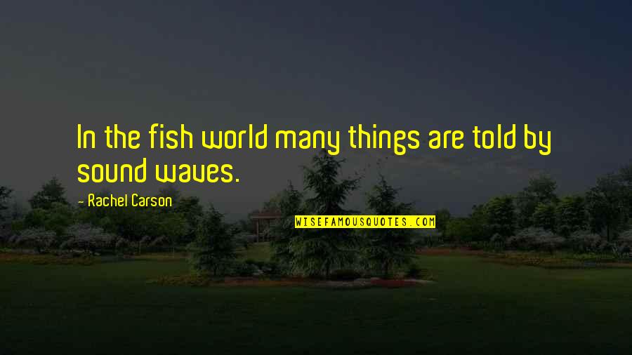 Wyborney Quotes By Rachel Carson: In the fish world many things are told Wyborney Quotes By Rachel Carson: In the fish world many things are told