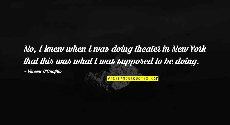 Wygodne Buty Quotes By Vincent D'Onofrio: No, I knew when I was doing theater Wygodne Buty Quotes By Vincent D'Onofrio: No, I knew when I was doing theater