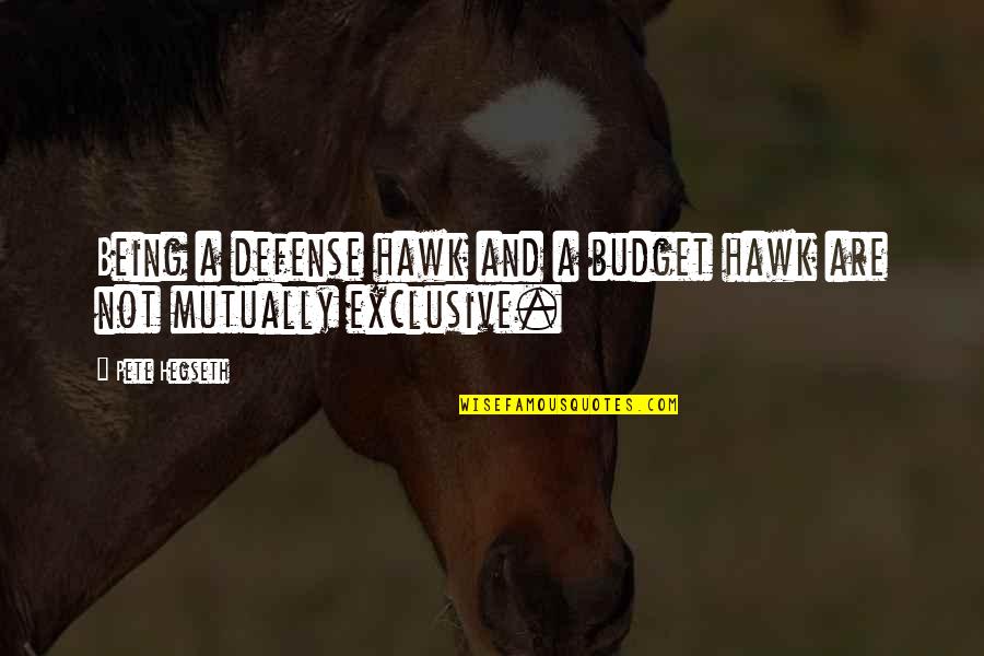 Wyldewood Quotes By Pete Hegseth: Being a defense hawk and a budget hawk