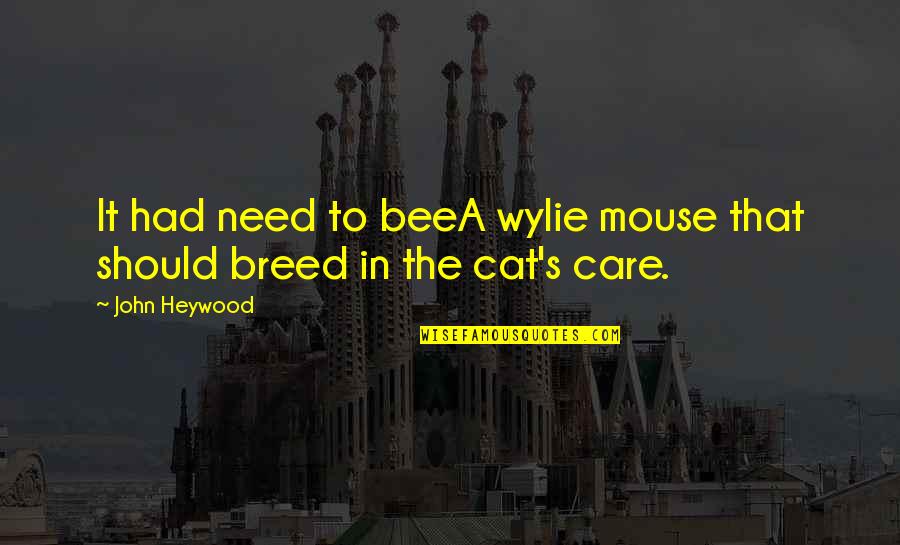 Wylie's Quotes By John Heywood: It had need to beeA wylie mouse that