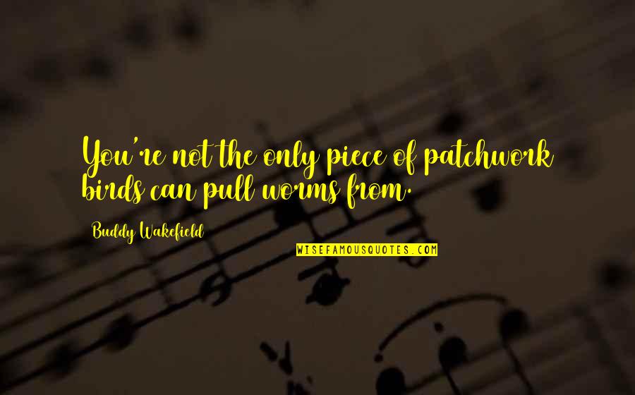 Wynford Vaughan Thomas Quotes By Buddy Wakefield: You're not the only piece of patchwork birds